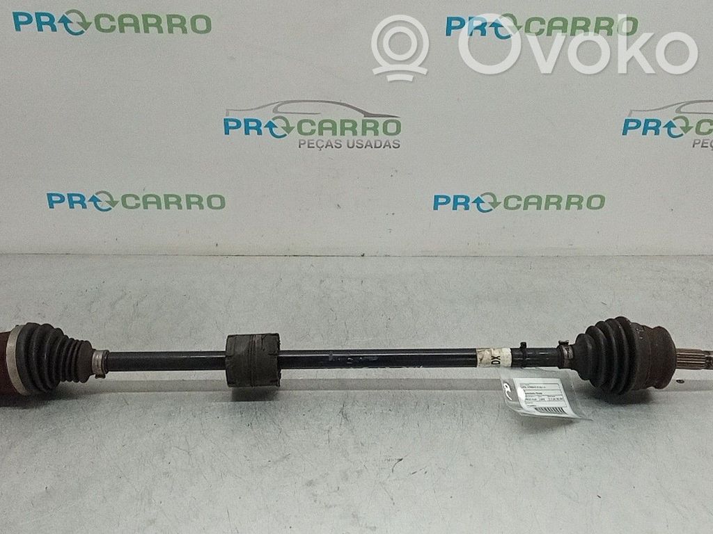 Semiasse anteriore   13248652