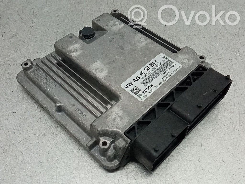 Engine control unit/module   04L907309K,0281030170