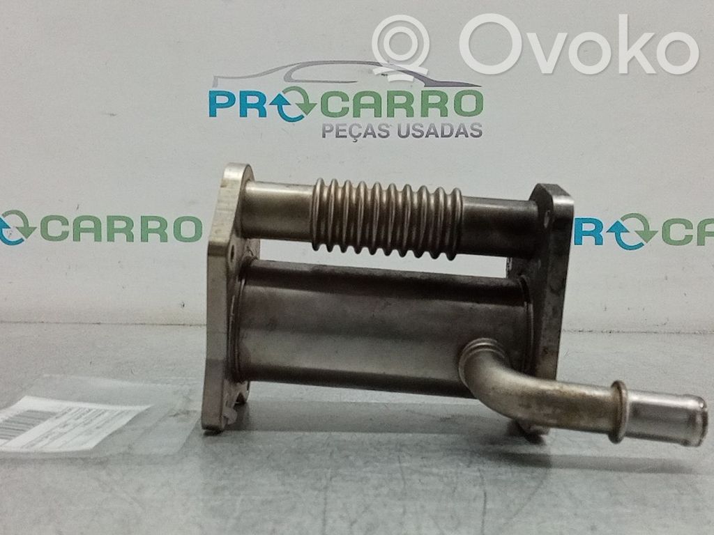 Refrigerador de la válvula EGR   147356133R