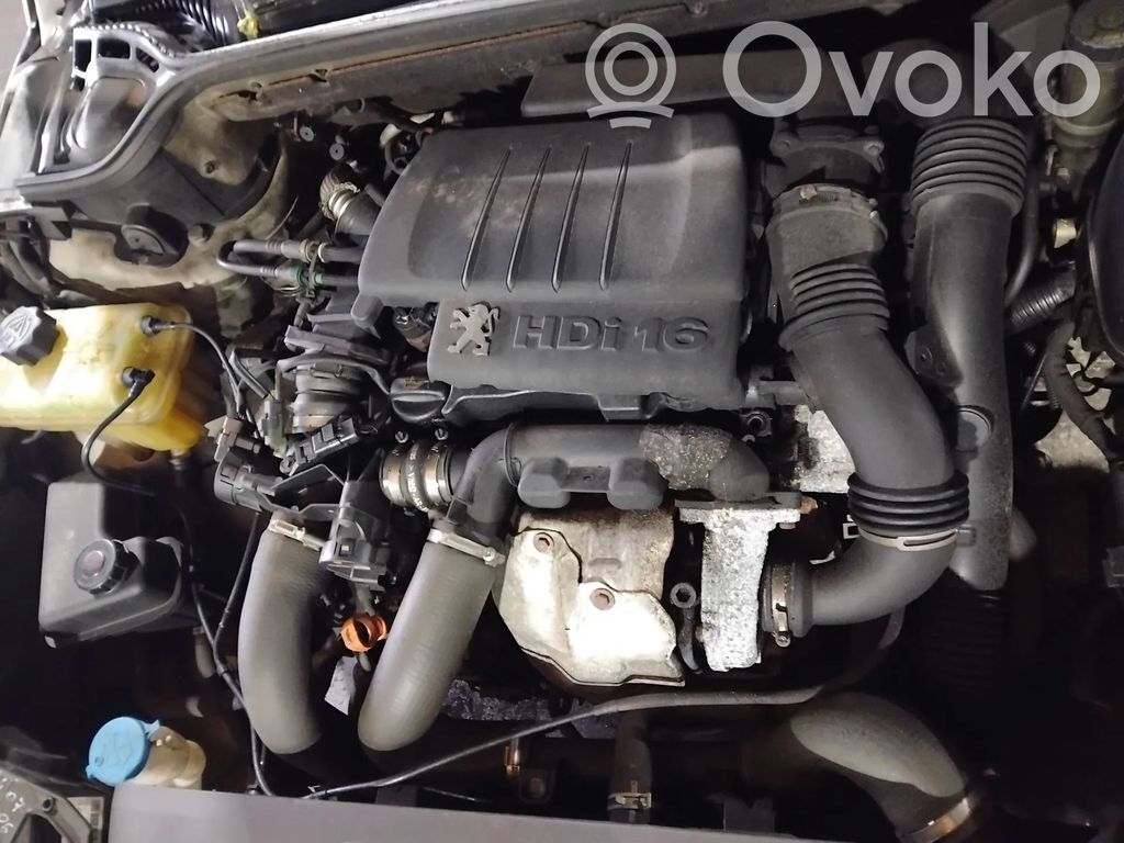 Motor   9HZ