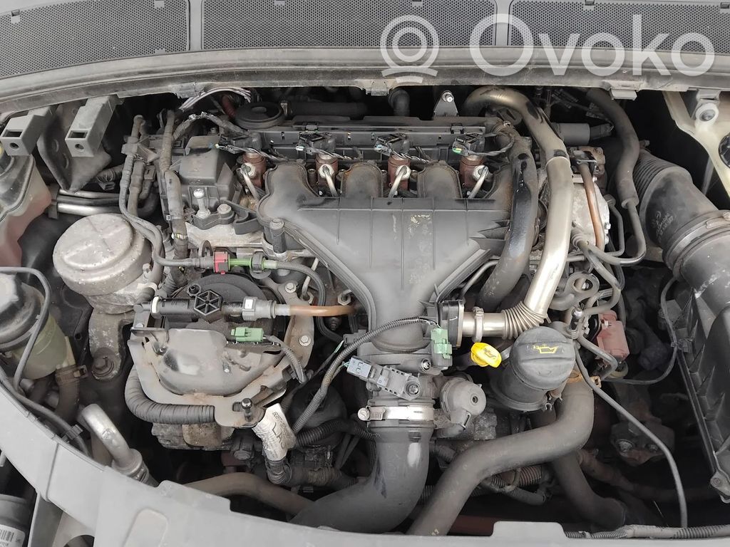 Motor   QXWC
