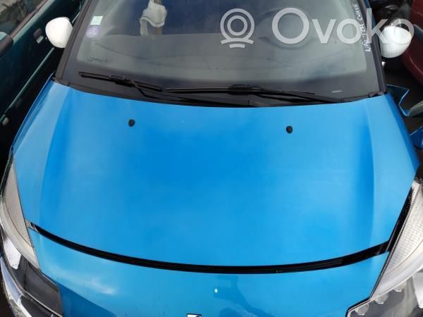 Capotă motor
