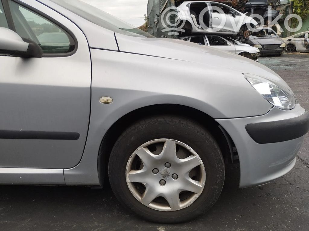 Peugeot 307 Kotflügel