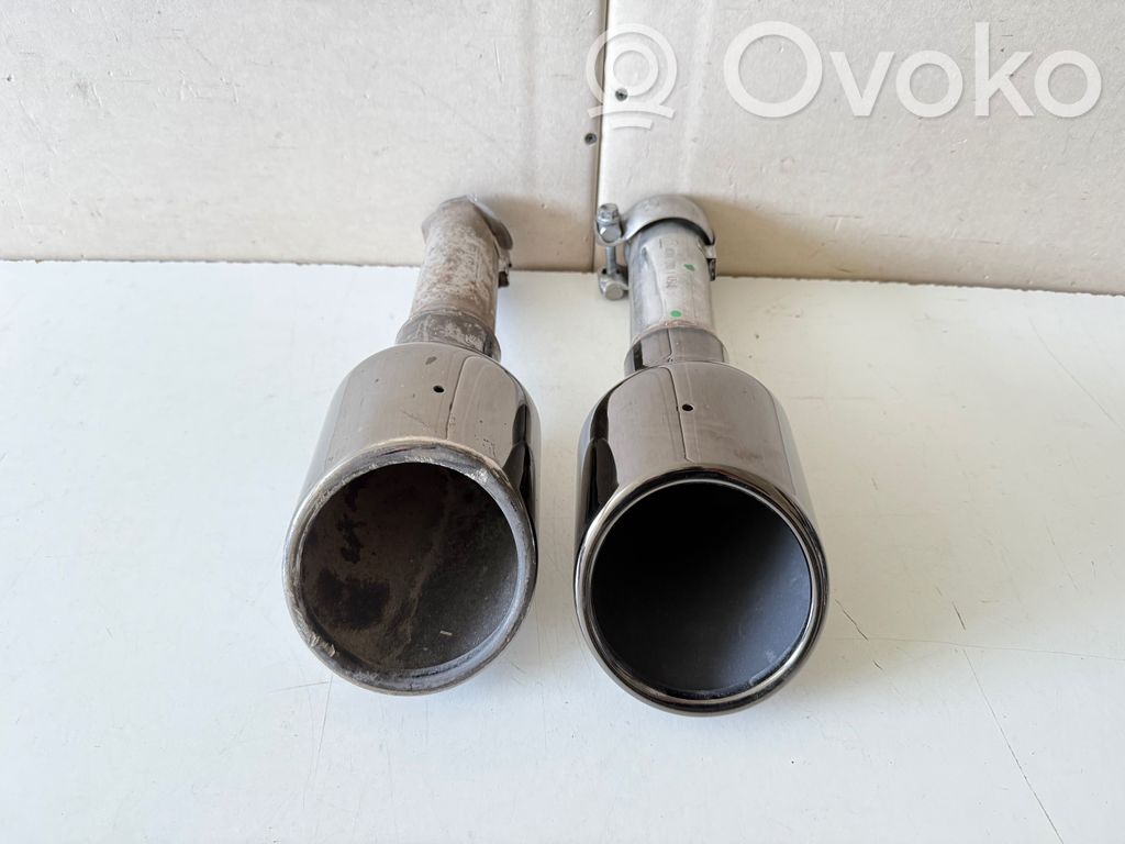 Duslintuvo antgalis   443AA