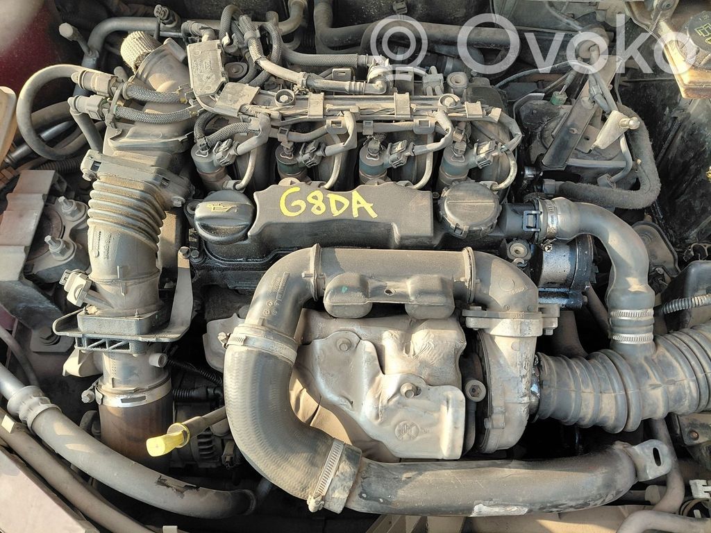 Motor   G8DA
