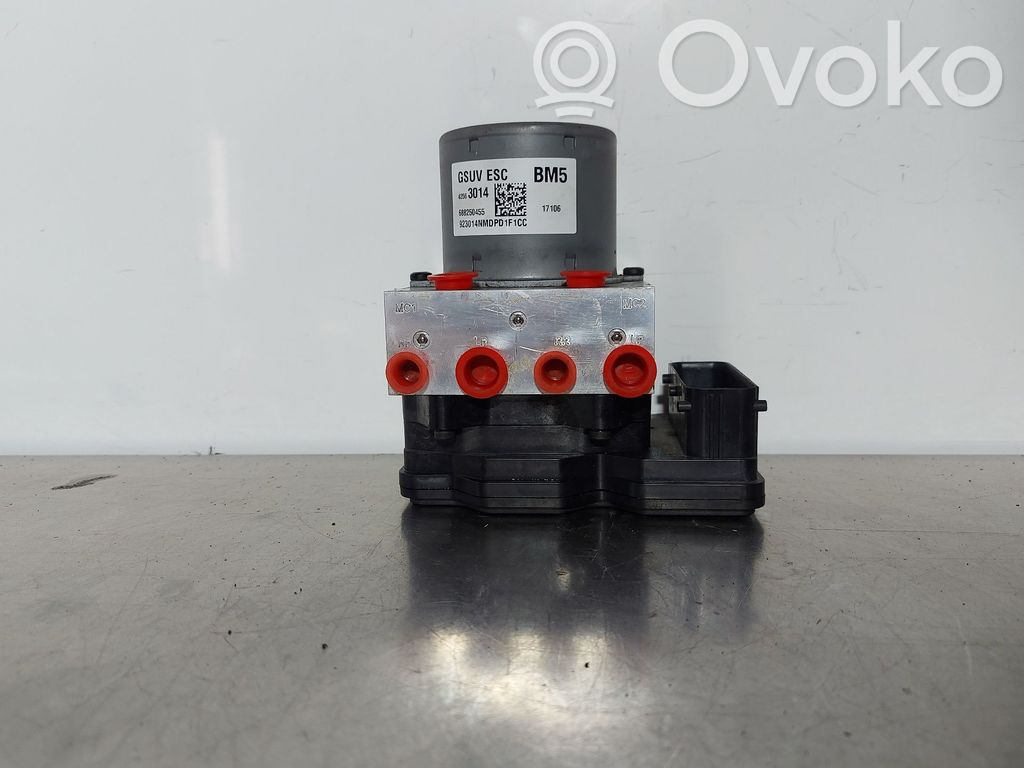 ABS Pump   42563014