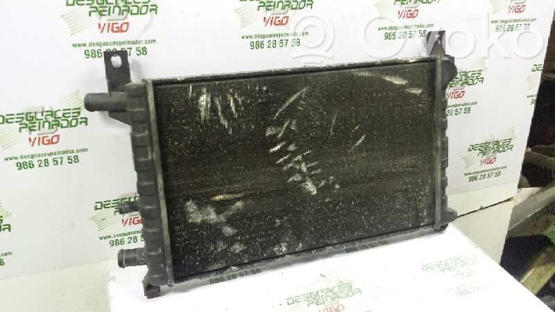 Ford Fiesta Radiator lichid răcire 