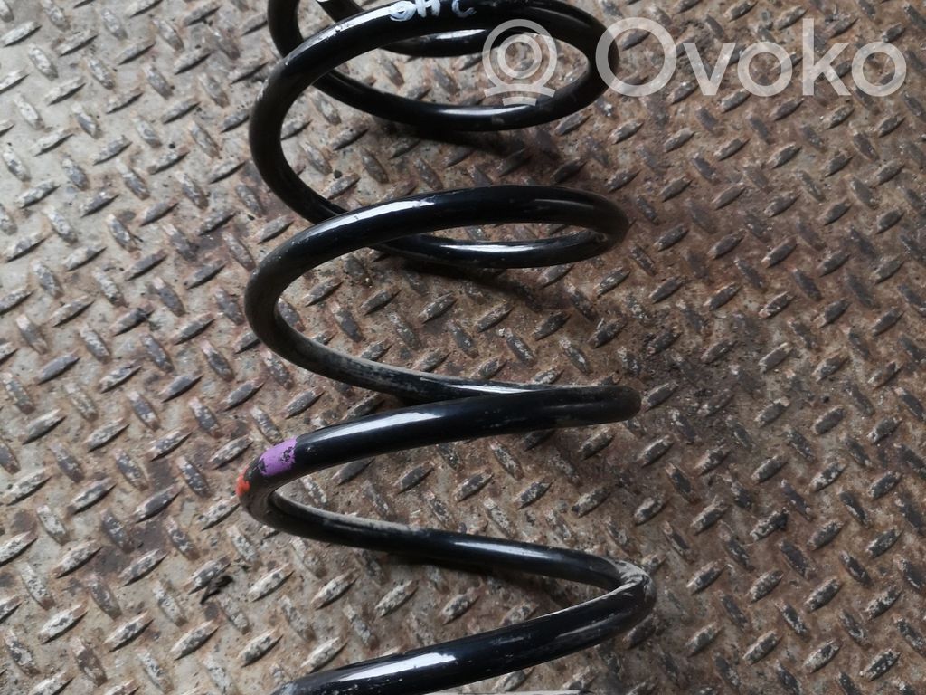Front coil spring