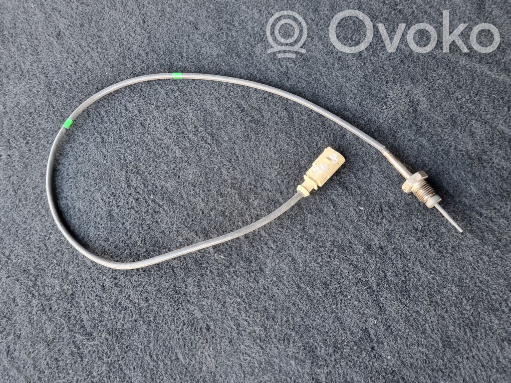 Skoda Yeti (5L) Exhaust gas temperature sensor 