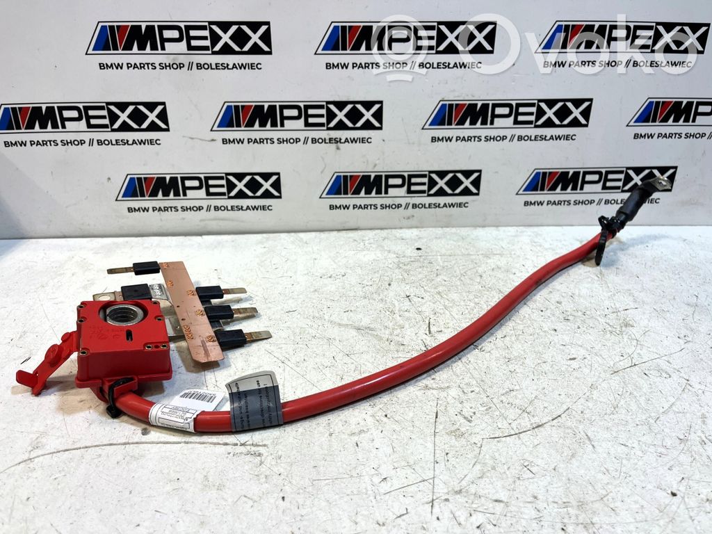 BMW X3 F25 Plus / Klema / Przewód akumulatora 