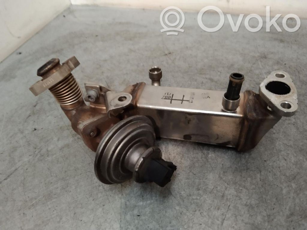 Válvula EGR   7801942A102