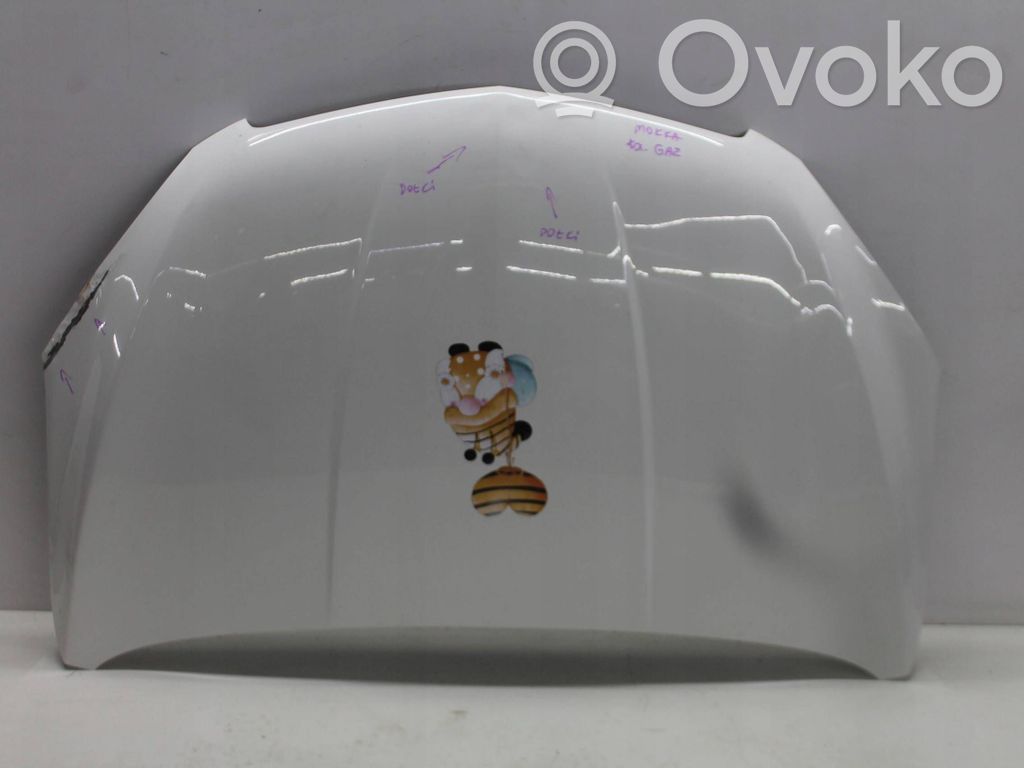 Engine bonnet/hood