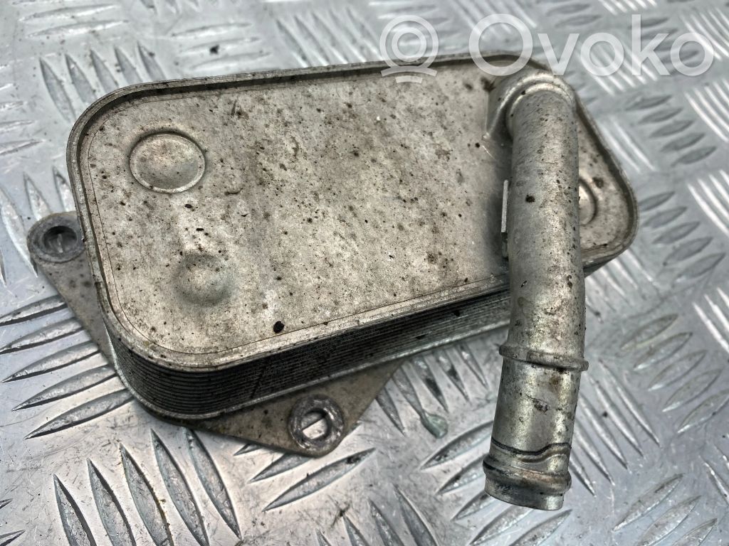 Engine oil radiator   7525333,7100597,5989070201