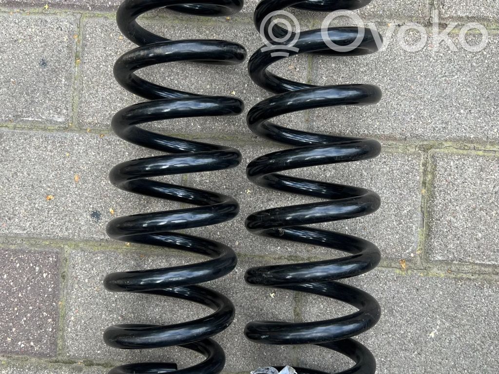 Front coil spring   33536767341,33536767341