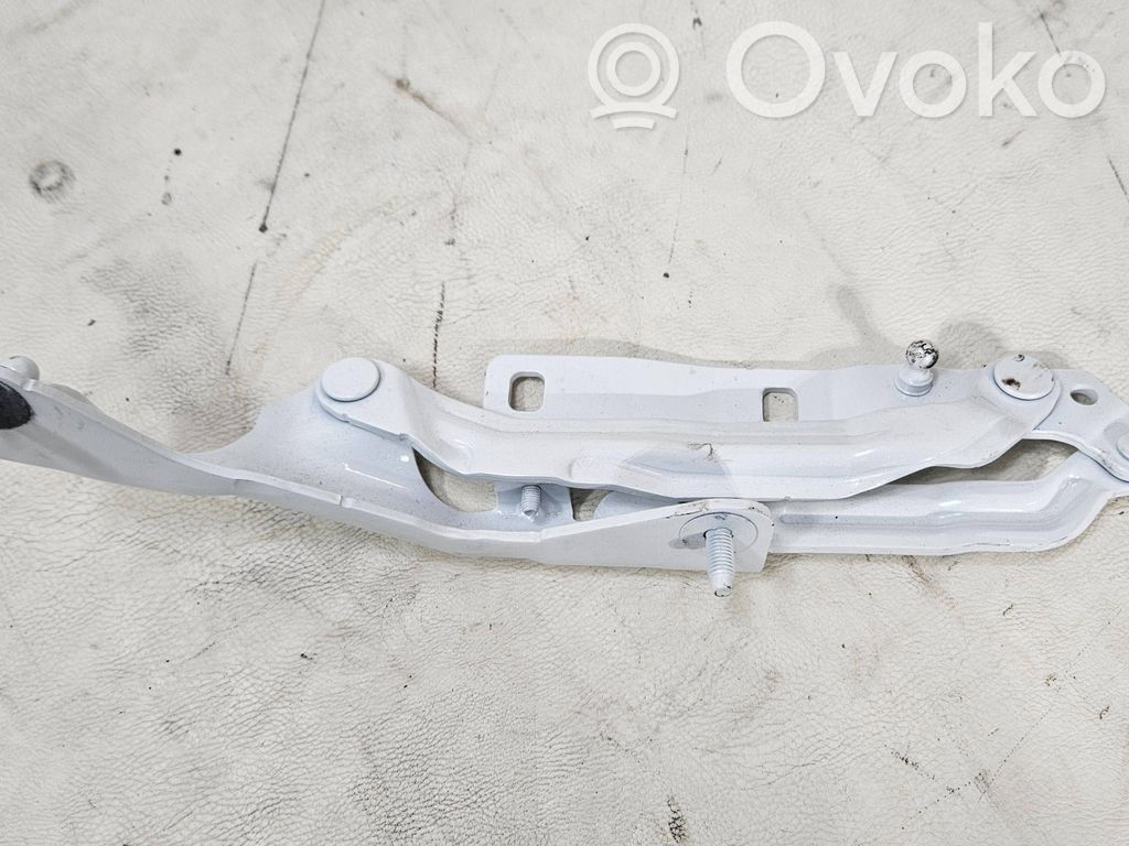 Tesla Model 3 Tailgate/trunk/boot hinge 