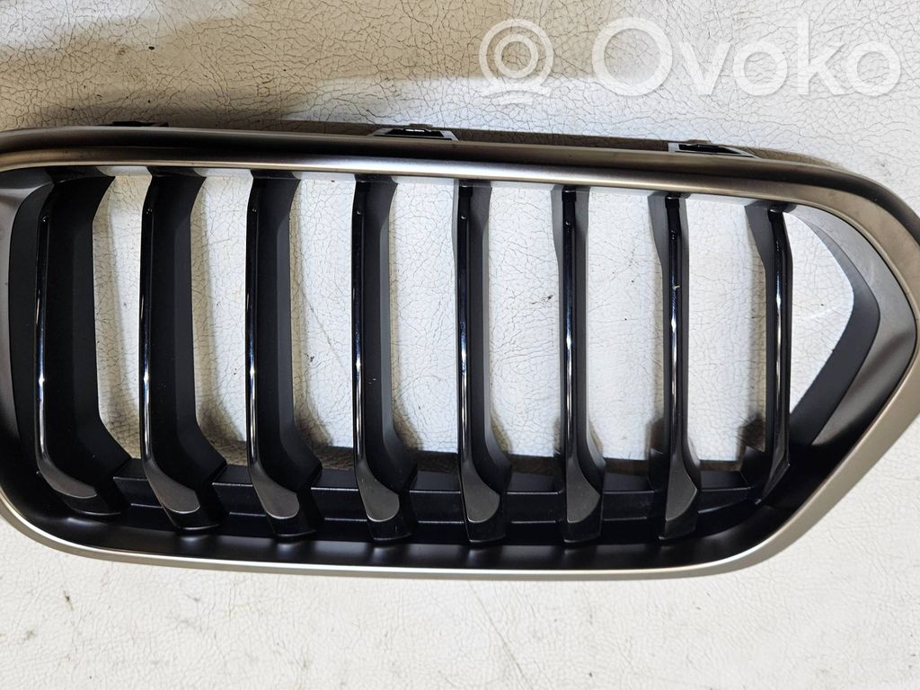 BMW X2 F39 Etusäleikkö 