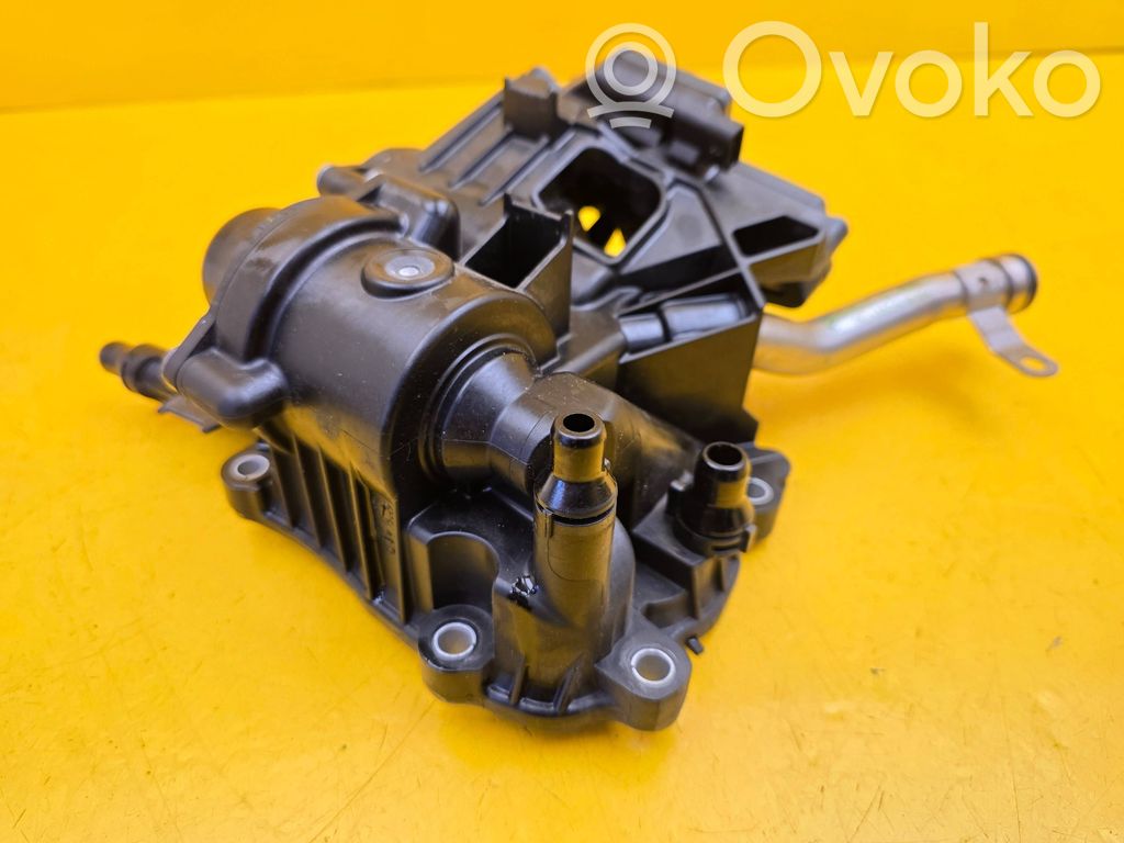 Termostato   8596107