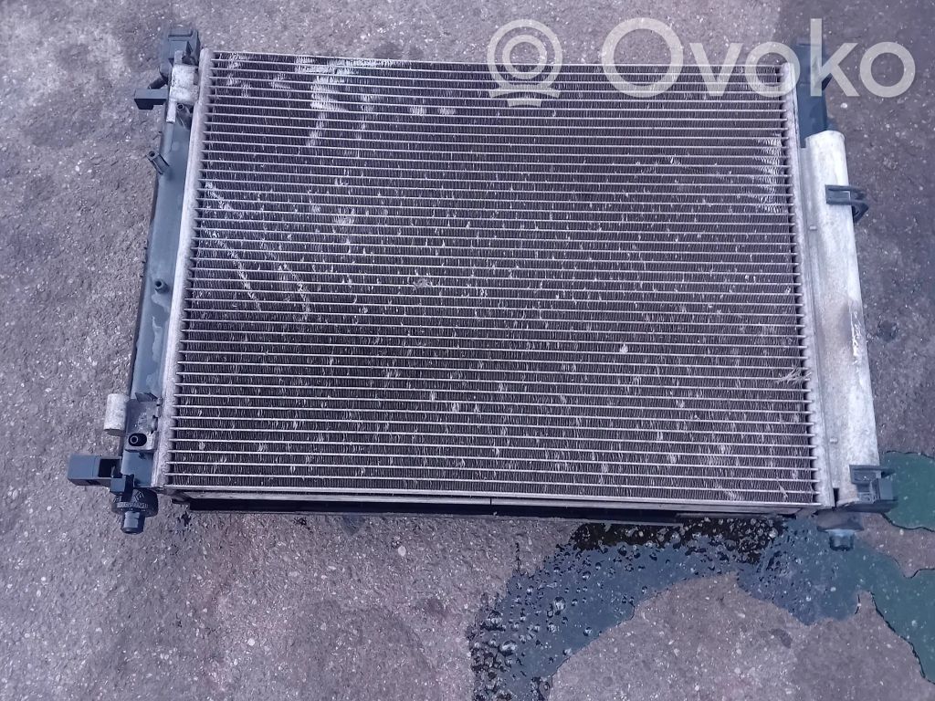Radiatorių komplektas