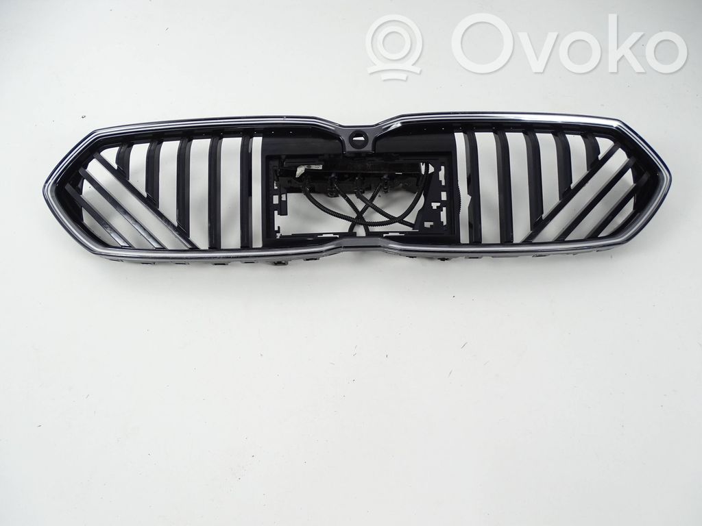BMW 1 F70 Griglia anteriore 