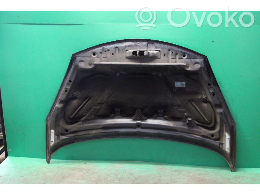 Vano motore/cofano