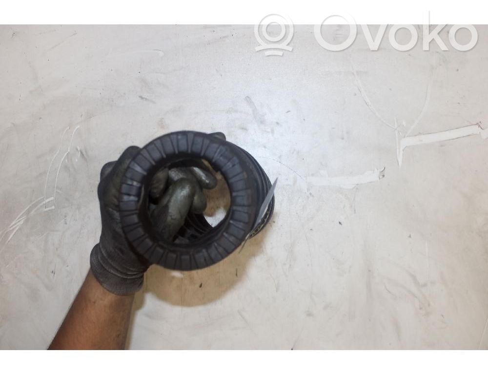 Rear coil spring