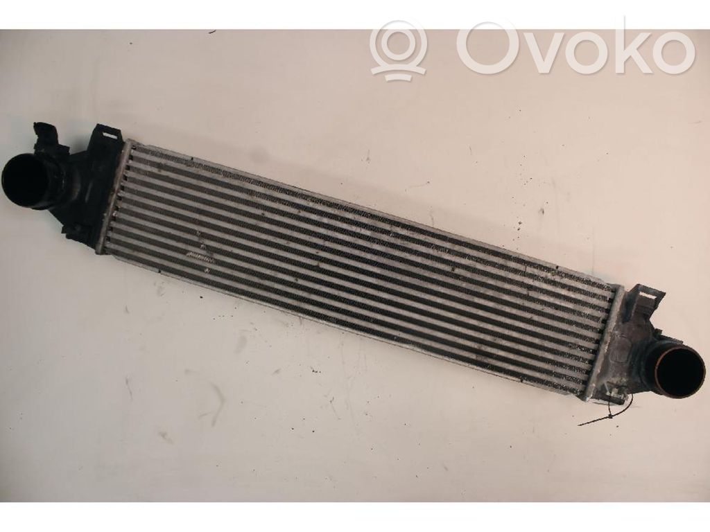Intercooler radiator   31338475