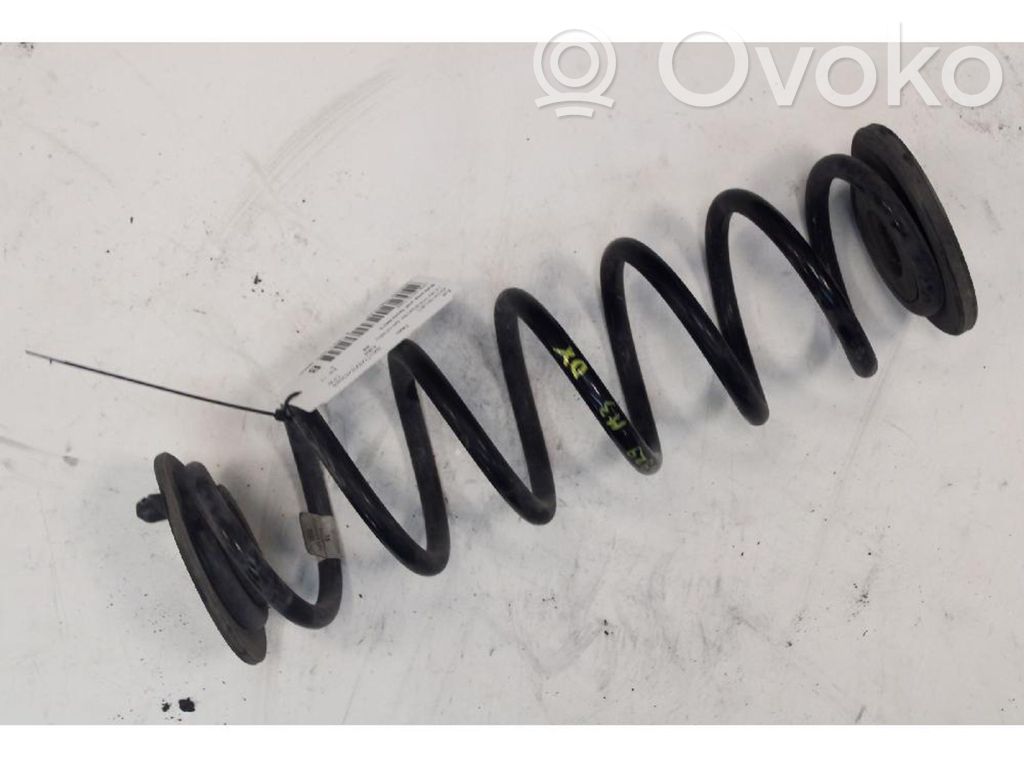 Rear coil spring