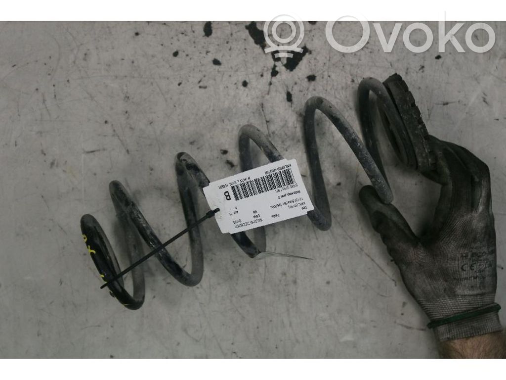 Rear coil spring
