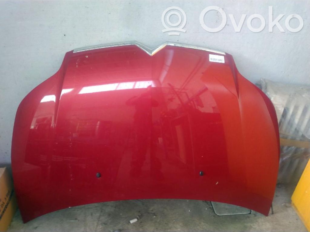 Motorhaube
