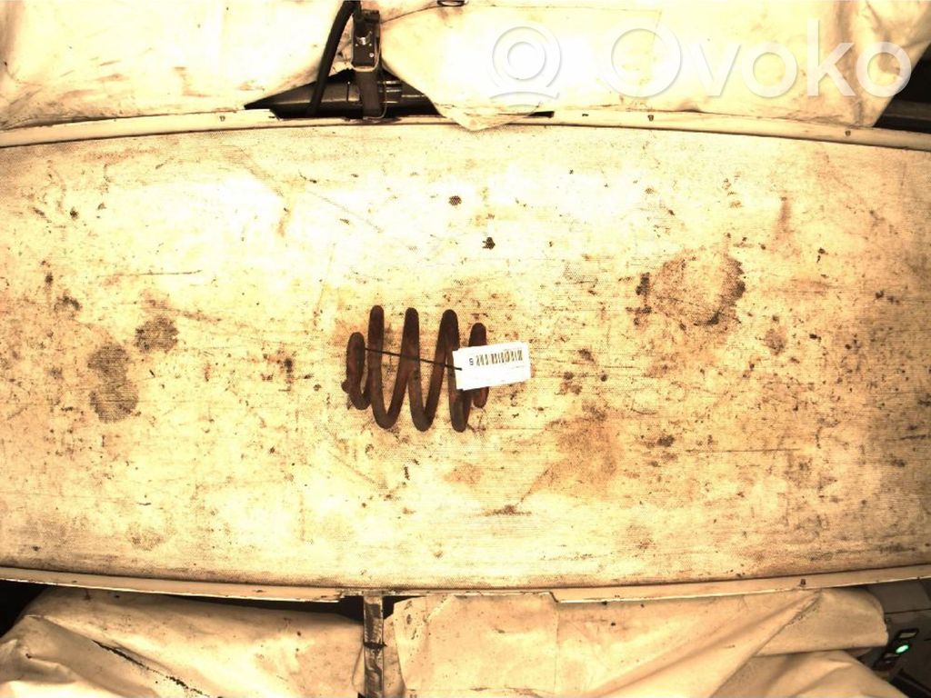 Rear coil spring