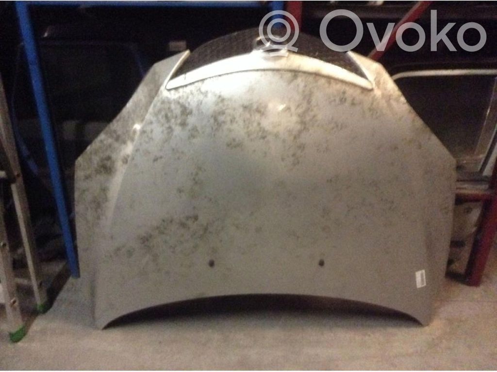 Motorhaube   BPYK5231X