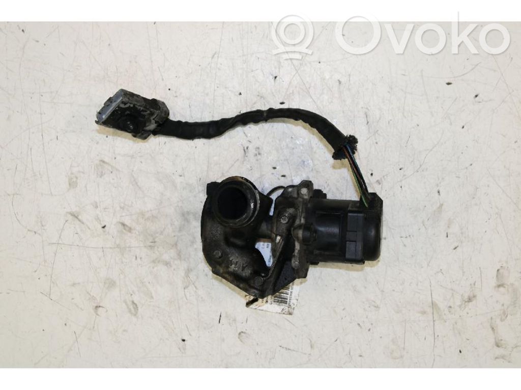 EGR vožtuvas   9654818180