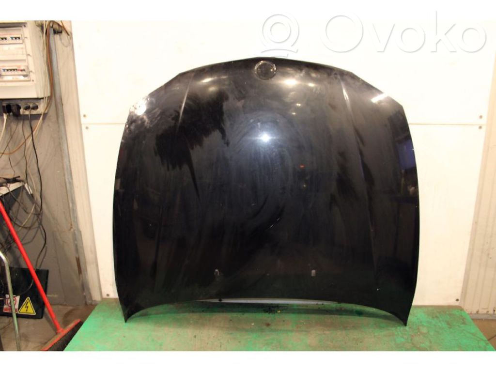 Motorhaube   41627162102