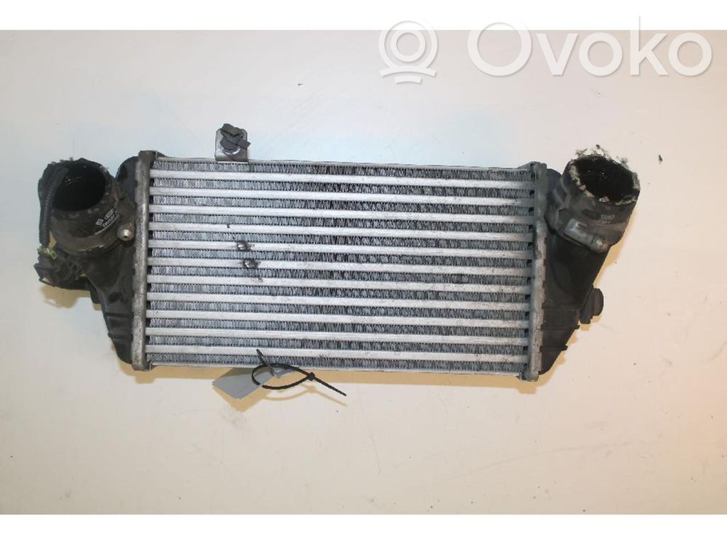 Radiador intercooler   282702A070