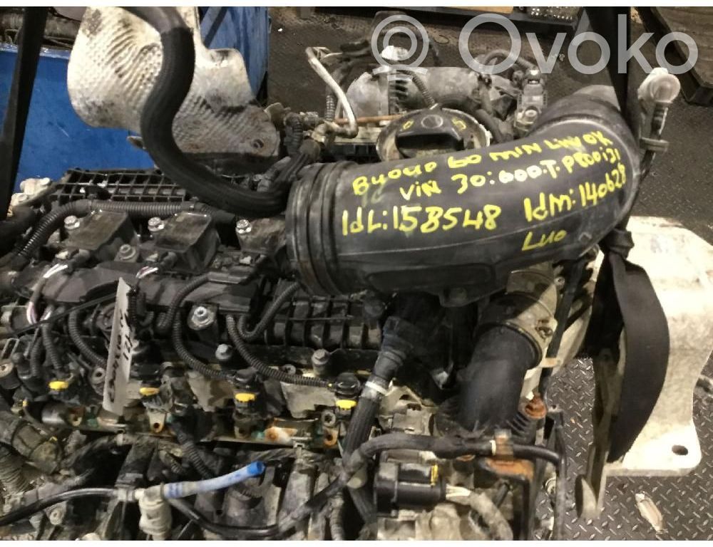 Engine   55282328