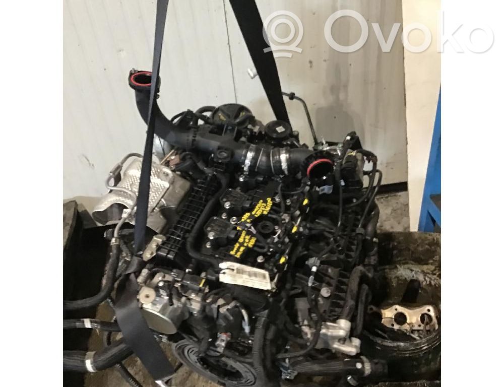 Engine   55282328