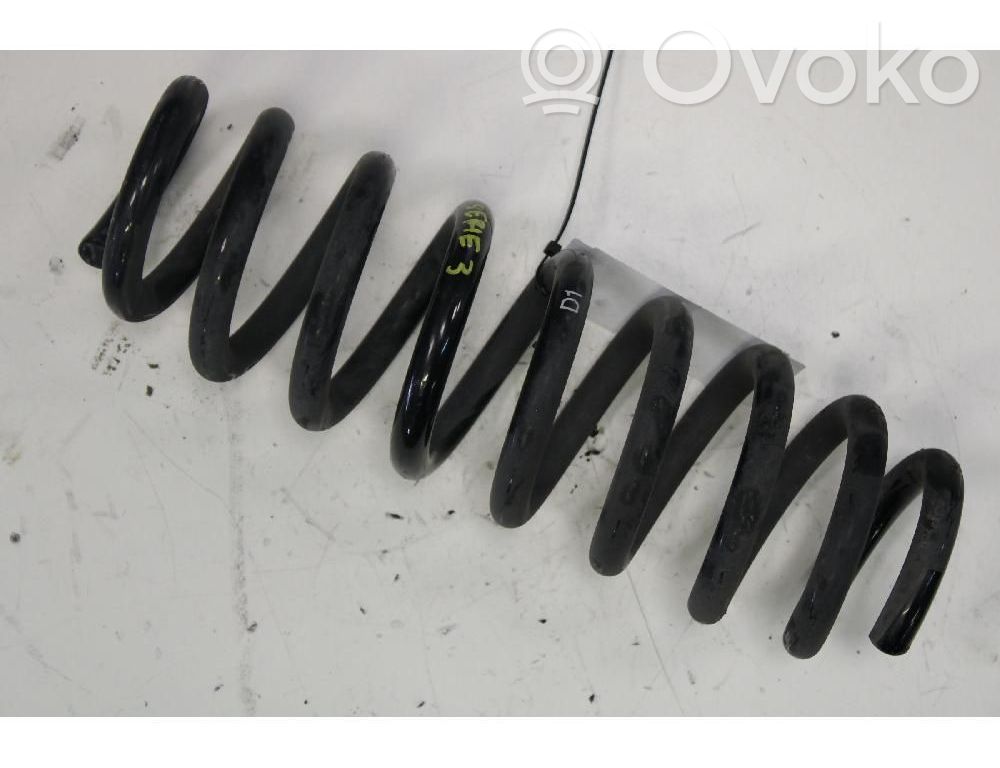 Rear coil spring