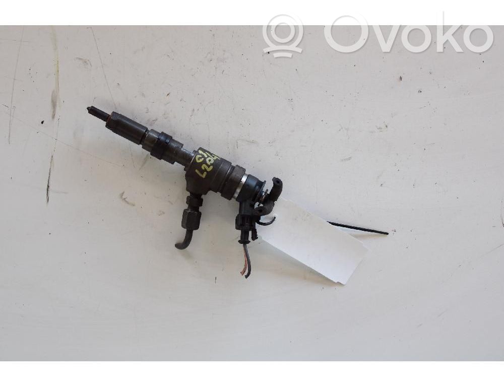 Citroen C3 Injector combustibil 