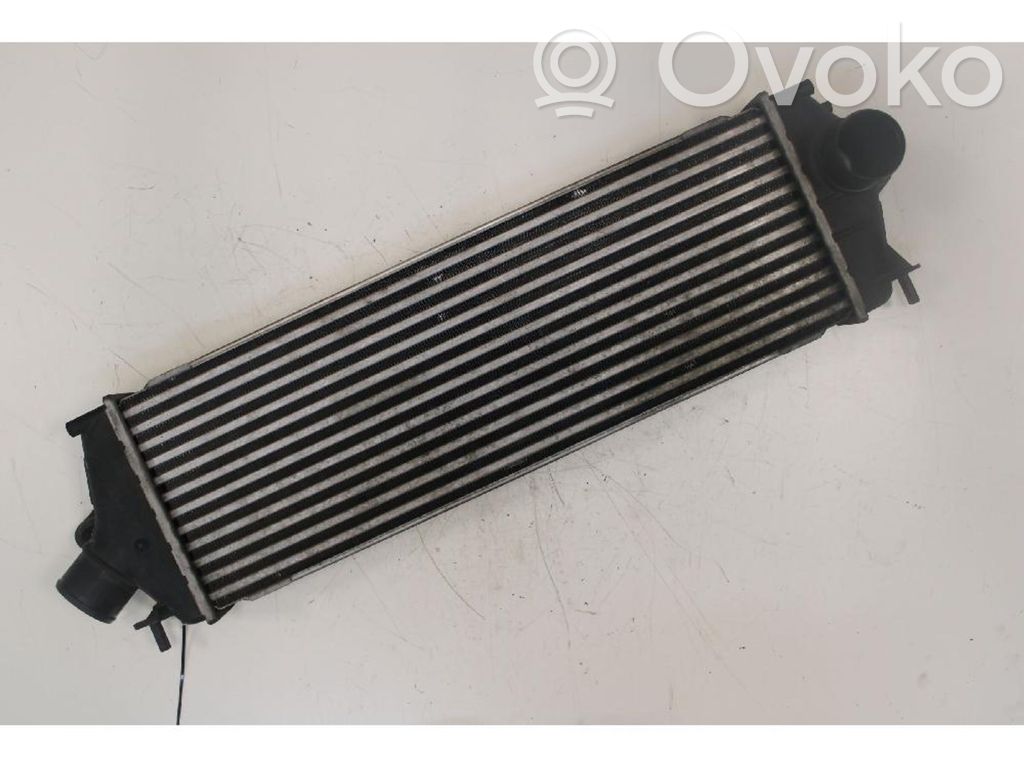 Radiador intercooler   988650B