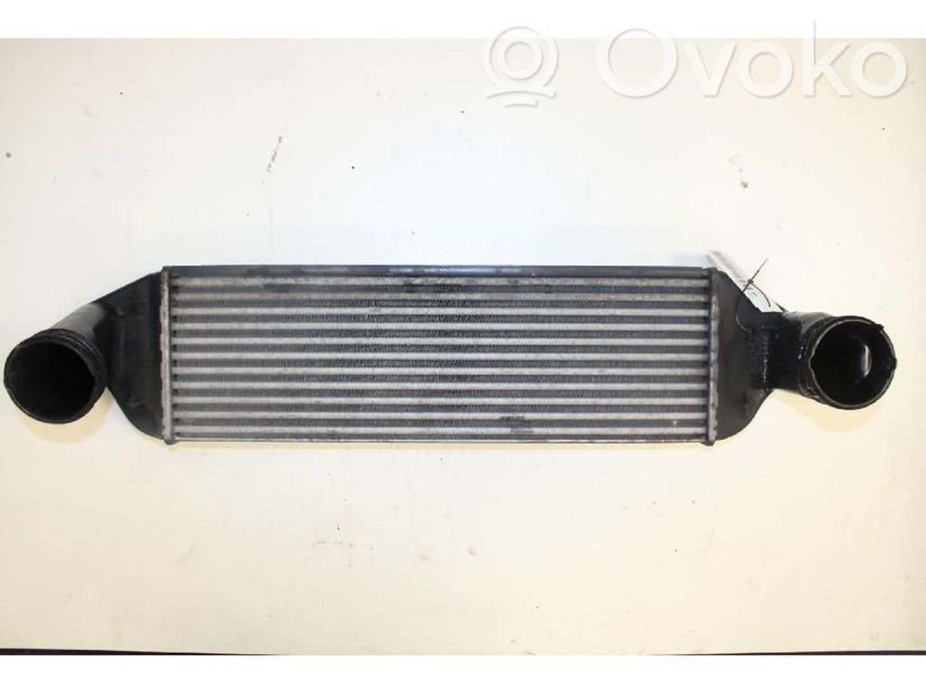 Intercooler radiator   3122645