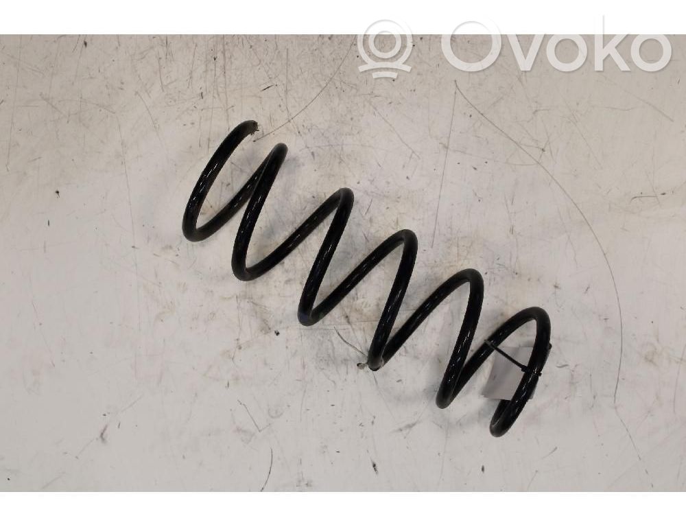 Muelle espiral trasero