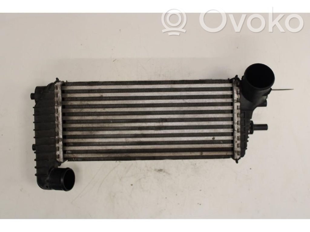 Intercooler radiator   1796565