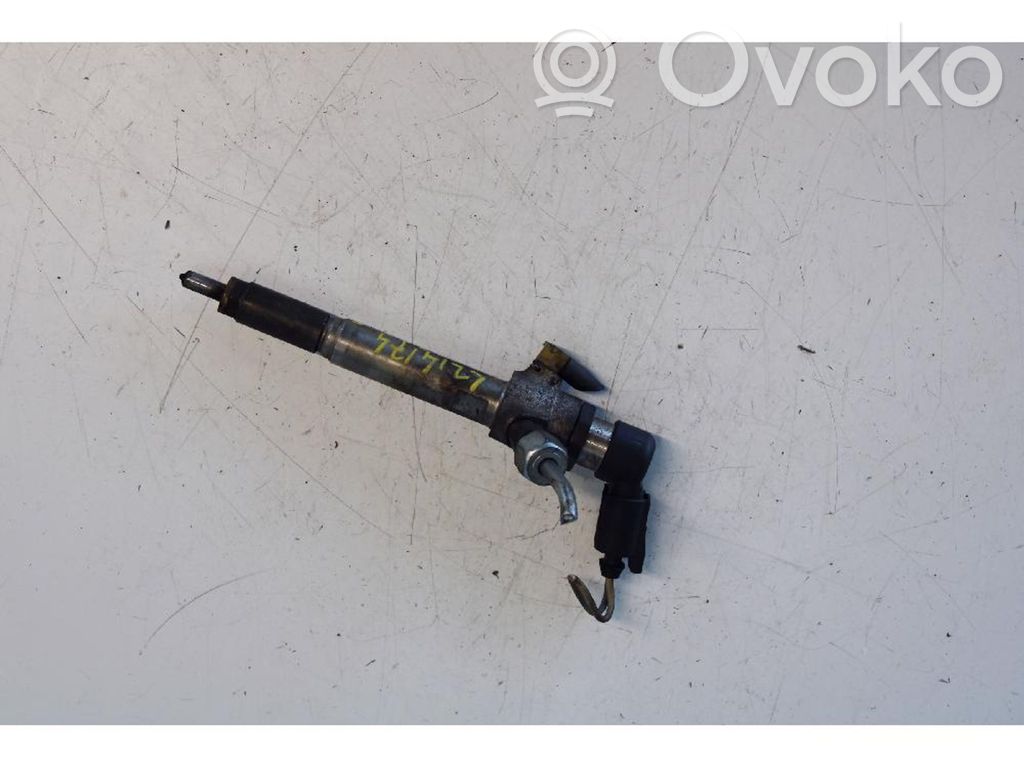 Renault Megane II Injector combustibil 