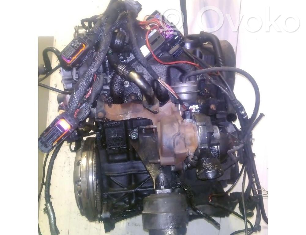 Motore   AVF