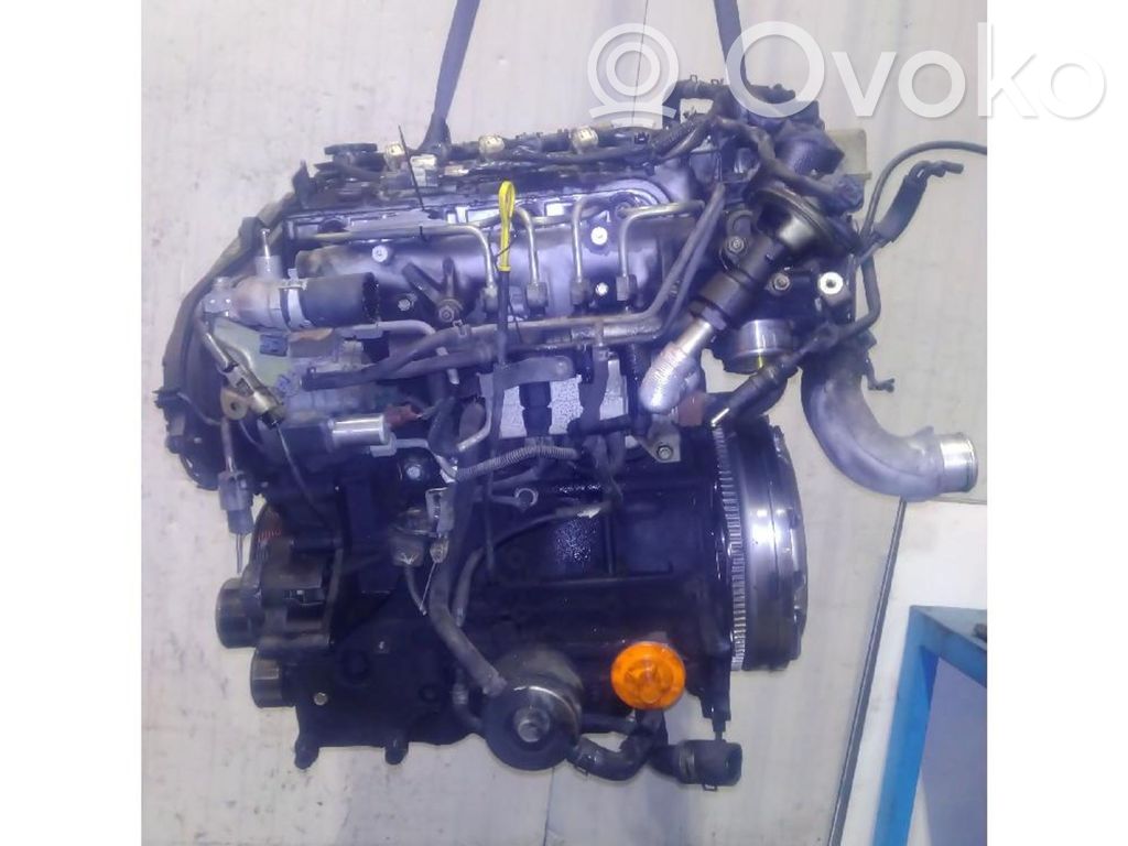 Motor   RF