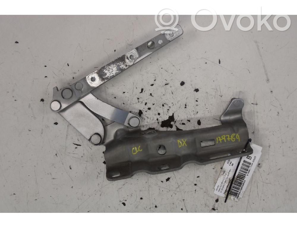 Cerniere del vano motore/cofano