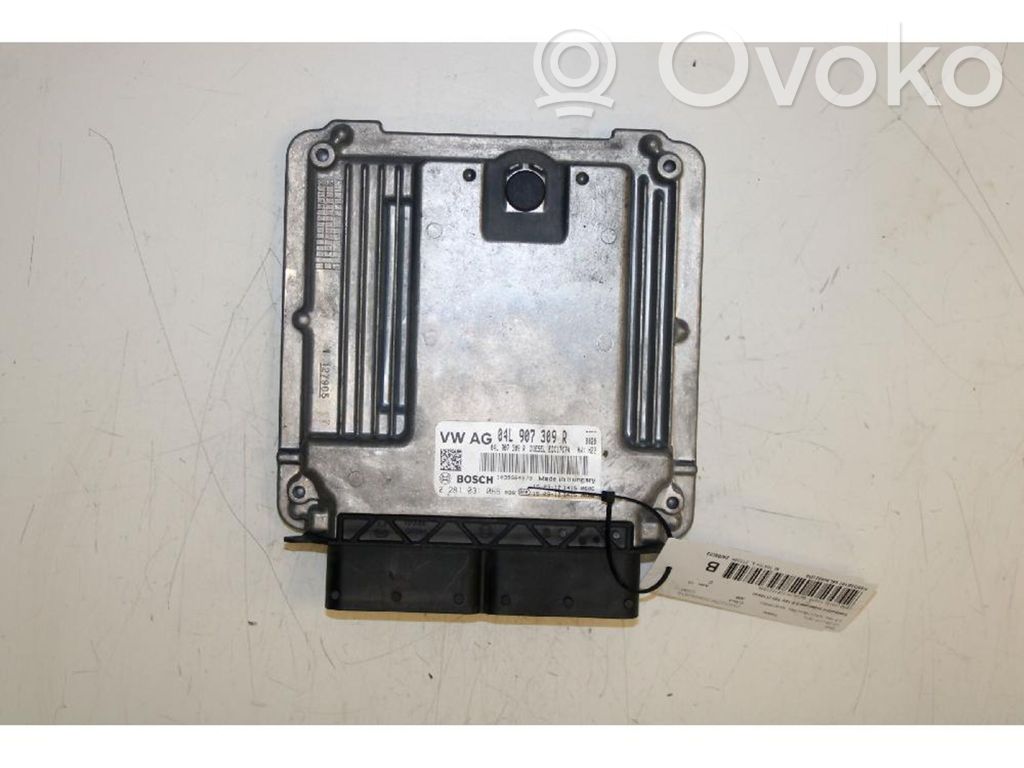 Unité / module de commande d'injection de carburant   0281031066,04L907309R