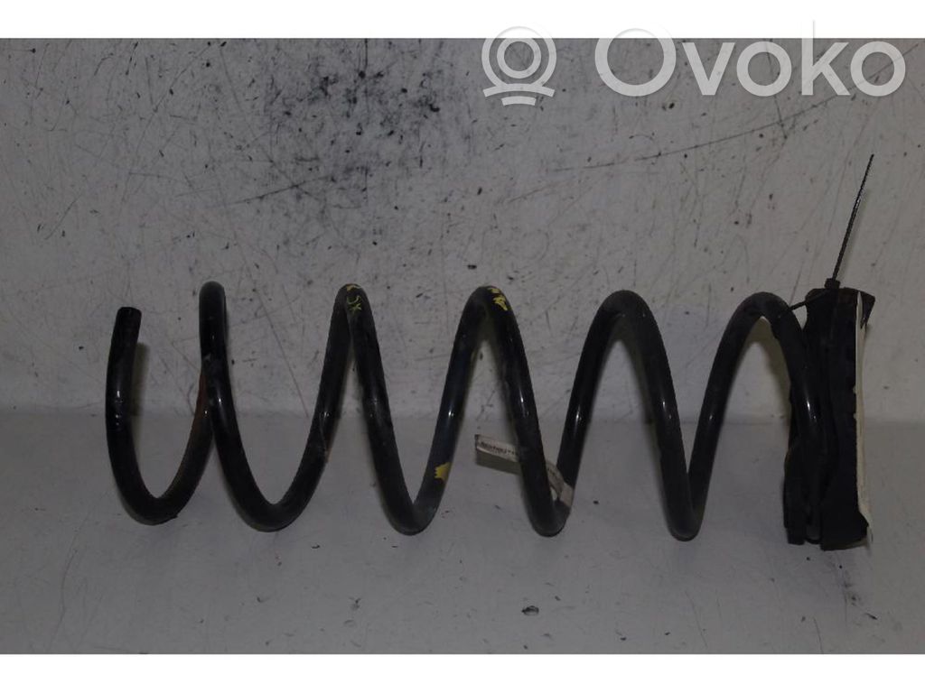 Muelle espiral trasero