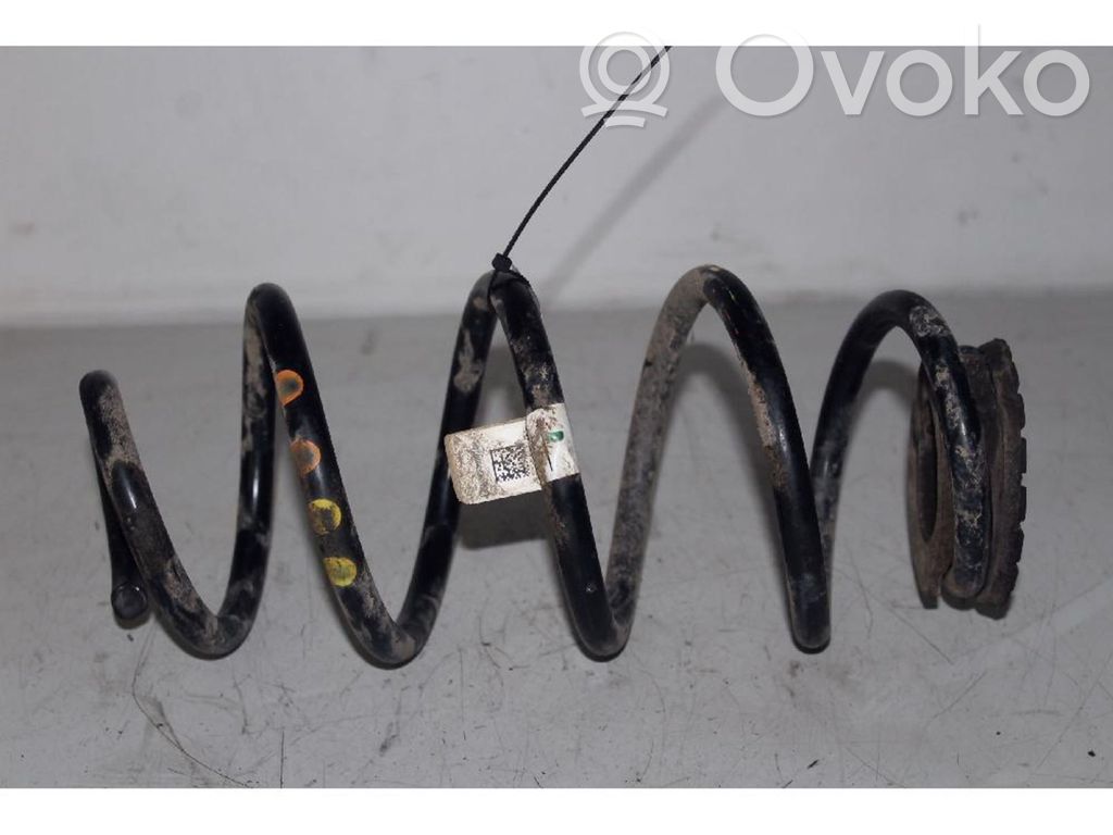 Muelle espiral trasero