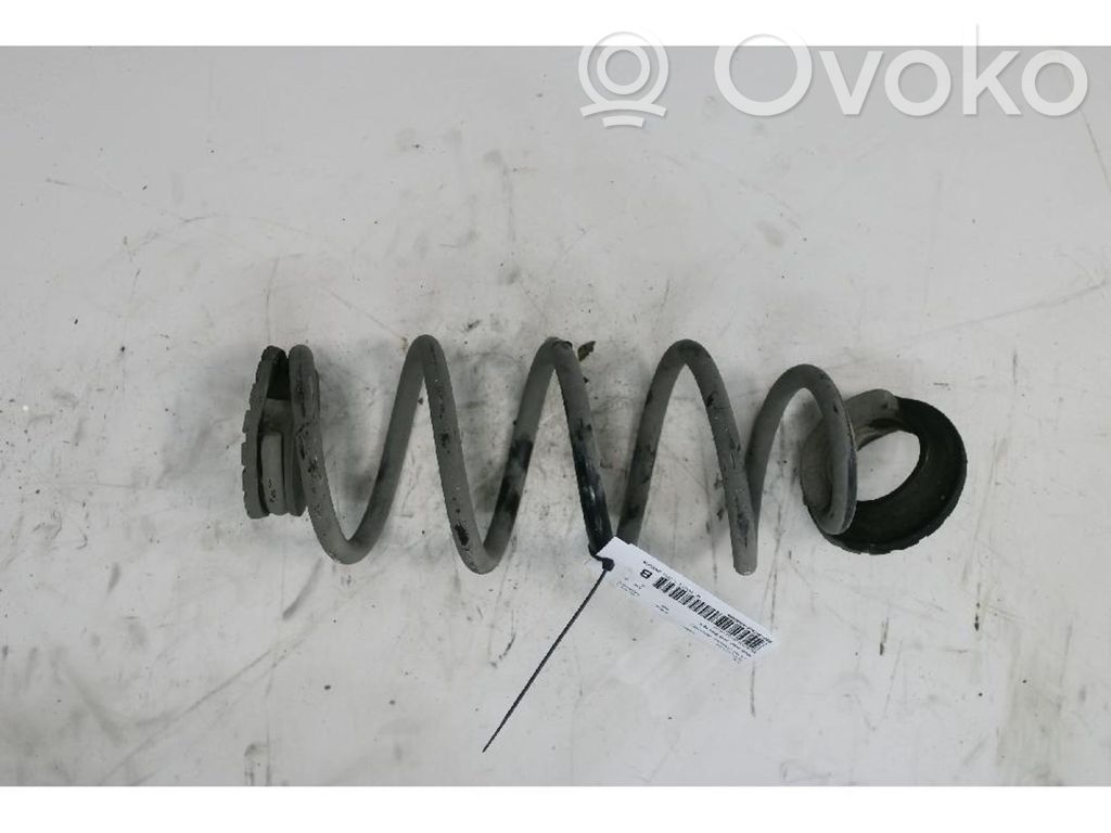 Muelle espiral trasero